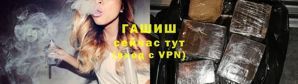 эйфоретик Няндома