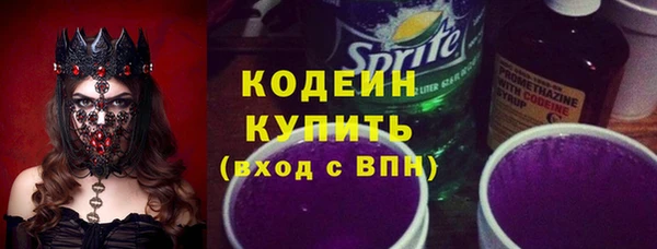 эйфоретик Няндома