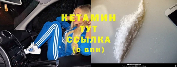 эйфоретик Няндома