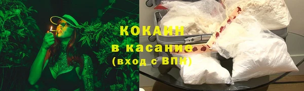 эйфоретик Няндома