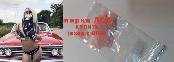 эйфоретик Няндома