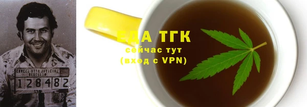 эйфоретик Няндома