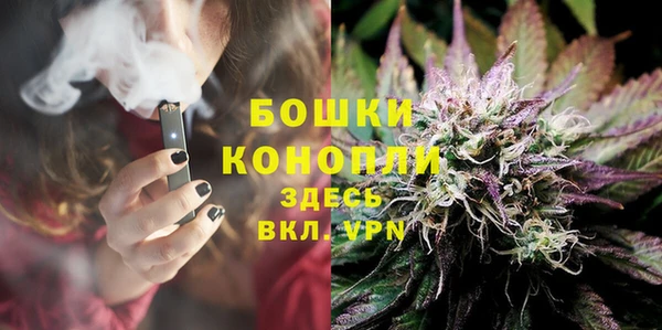 эйфоретик Няндома