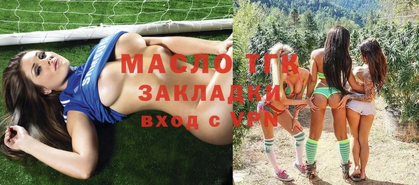 эйфоретик Няндома