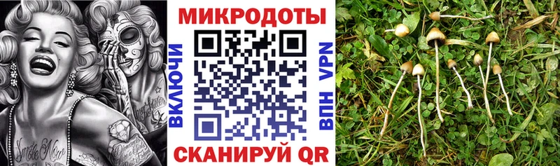 Псилоцибиновые грибы GOLDEN TEACHER  где можно купить наркотик  Великий Устюг 