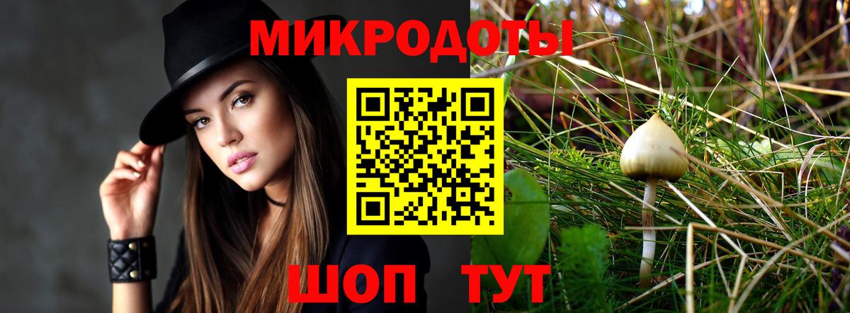 Великий Устюг  Псилоцибиновые грибы прущие грибы  Вход с VPN 