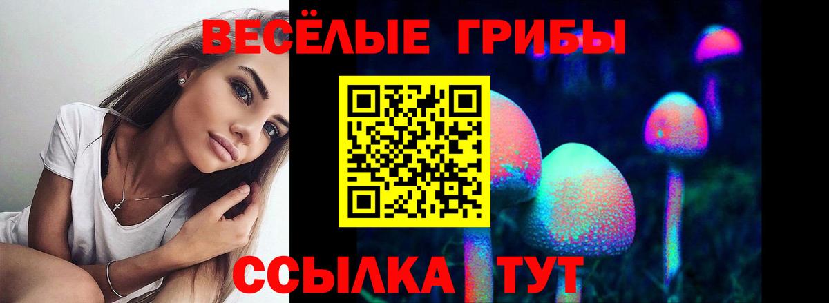 Галлюциногенные грибы Magic Shrooms Великий Устюг