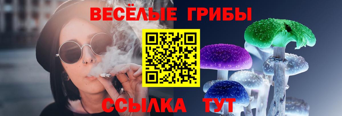 Псилоцибиновые грибы Cubensis  Великий Устюг 